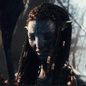 Meet your Posher, Mia